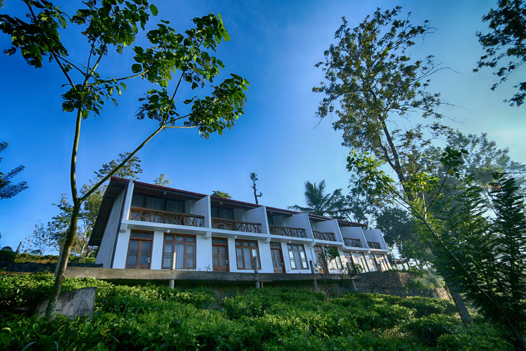 The Tea Tree Resort Ella Luaran gambar